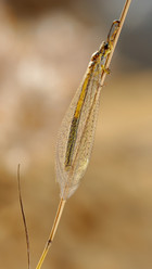 Similar image 219820