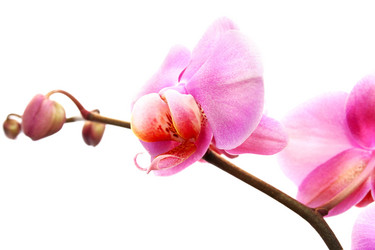 Similar image 219853