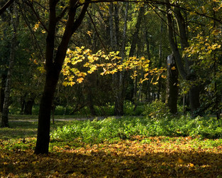 Similar image 219928