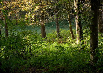 Similar image 219929