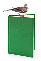 Similar image 219933