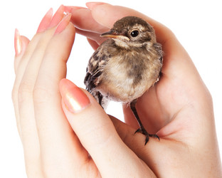 Similar image 219937