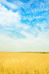 Similar image 219991