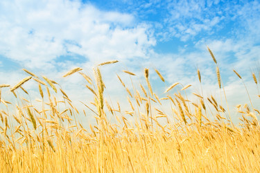 Similar image 219992