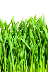 Similar image 220009