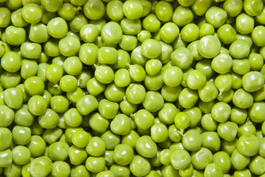 Similar image 220010