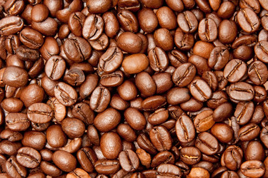 Similar image 220013