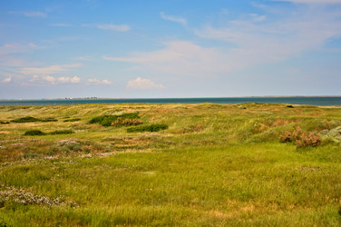 Similar image 220014