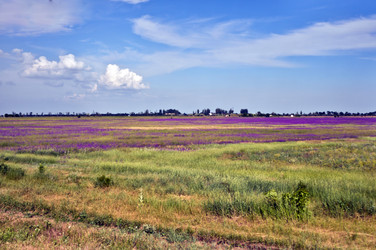 Similar image 220015