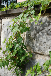 Similar image 220017