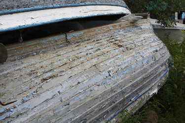 Similar image 220026