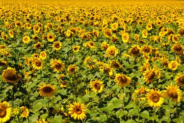 Similar image 220029