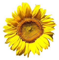 Similar image 220088