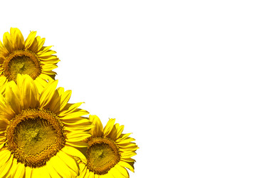 Similar image 220089