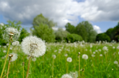 Similar image 220098