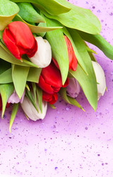 Similar image 220102