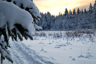 Similar image 220119