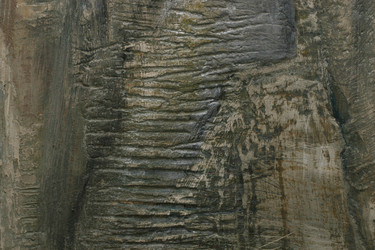 Similar image 220122