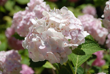 Similar image 220156