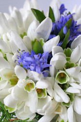 Similar image 220239