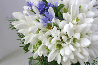 Similar image 220244