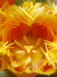 Similar image 220250