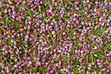 Similar image 220251