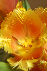 Similar image 220252