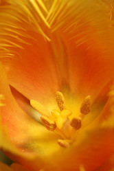 Similar image 220253