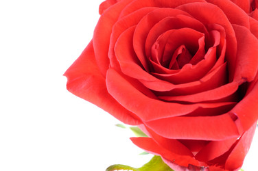 Similar image 220270