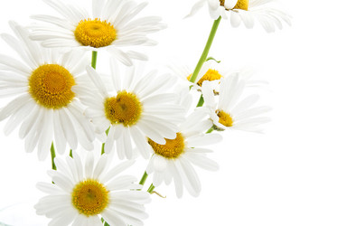 Similar image 220278