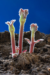 Similar image 220280