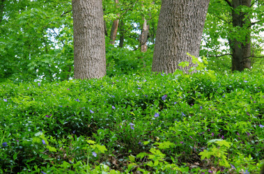 Similar image 220306