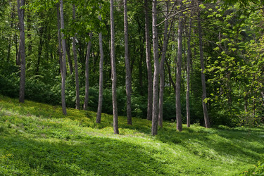 Similar image 220308