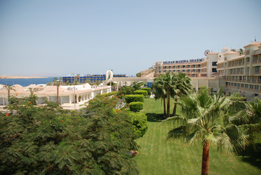 Similar image 220322