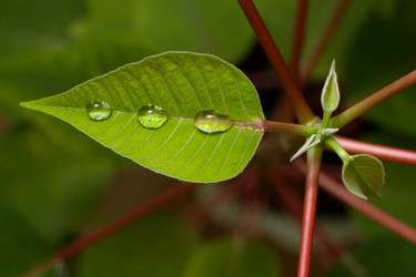 Similar image 220356