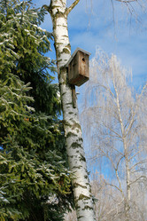 Similar image 220359