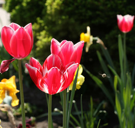 Similar image 220390