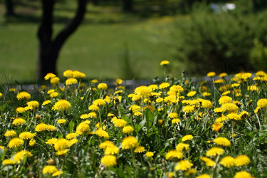 Similar image 220391