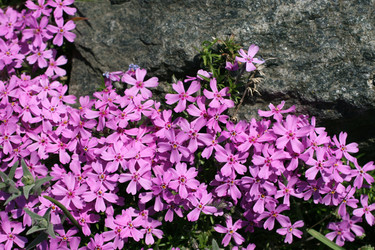 Similar image 220393