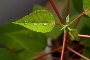 Similar image 220394