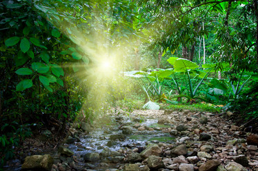 Similar image 220395