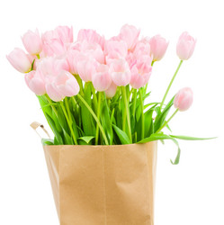 Similar image 220420