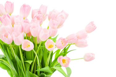 Similar image 220426