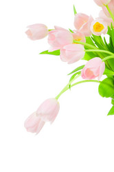 Similar image 220427