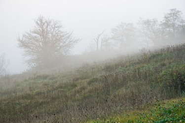 Similar image 220434