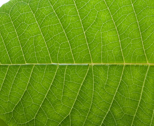 Similar image 220435