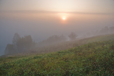 Similar image 220436