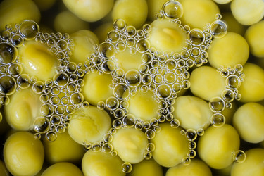 Similar image 220439