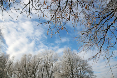 Similar image 220440